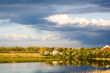 Fototapeta na wymiar Landscape with waterline, reeds birds and vegetation