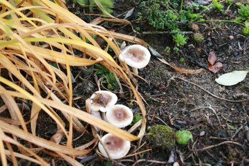 ciepłe wspomnienie jesieni © Anna