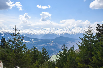 panoramic view of the mountains from the forest coniferous trees