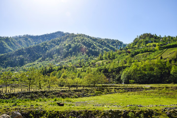 green pasture meadow at the foot of the mountains view panorama space 
