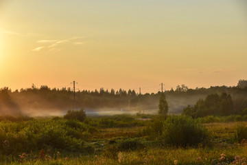 landscape sunset sun evening haze forest nature field panorama 