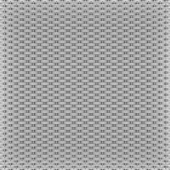 Abstract black-white lattice texture.