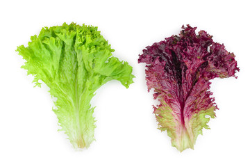 fresh red coral and green salad or lettuce isolated on the white background. Top view. Flat lay