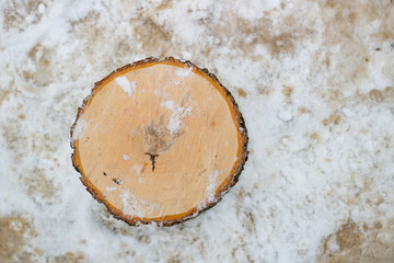 Old stump covered in snow in winter forest