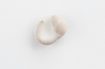 Sea pebble on a white background