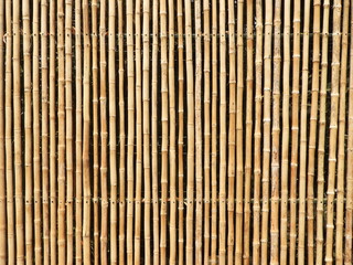 Bambú wll