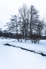 Obraz premium Trees covered in thick fresh snow at Gothenburg