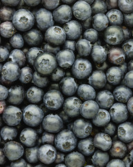 Fresh Blueberries