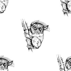 Seamless pattern of hand drawn sketch style Philippine tarsier isolated on white background. Vector illustration.