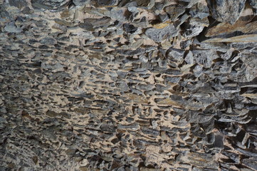 Old natural wooden background, wall, studio room. Wood table or floor
