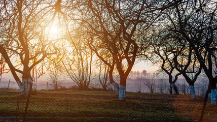 sunset in the field. beautiful autumn foggy landscape in Ukraine