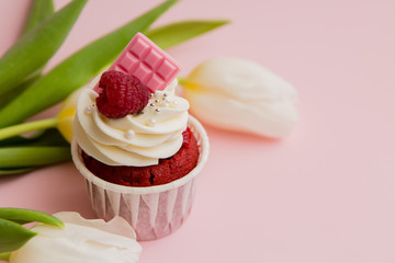 cupcake and tulips on pink background.copy spase.Delicious cake