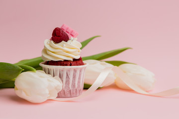 cupcake and tulips on pink background.copy spase.Delicious cake