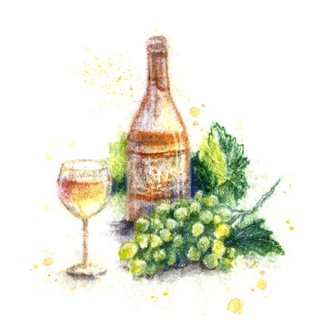 Hand Drawn Bottle of   Wine and Grapes