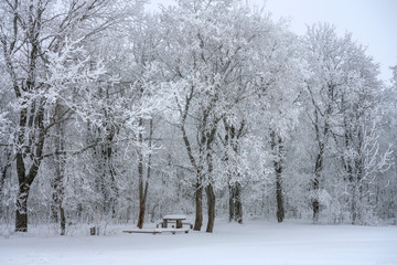 Winter landscape, snow-covered trees and a bench with a table to relax under the snow in the forest