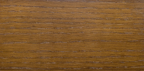 Wood texture. Wood texture for design and decoration