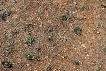 Sand Texture
