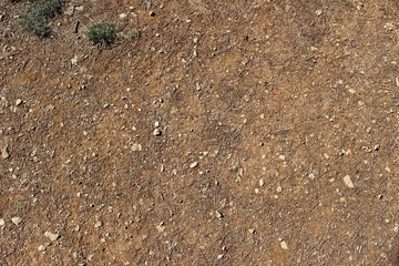 Sand Texture
