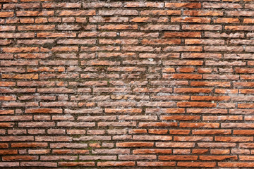 Brick wall texture