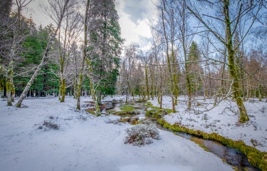 Campo com neve