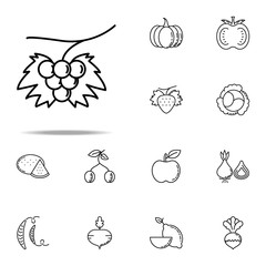 grapes dusk style icon. Vegetables icons universal set for web and mobile