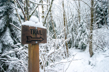 wooden sign in snow