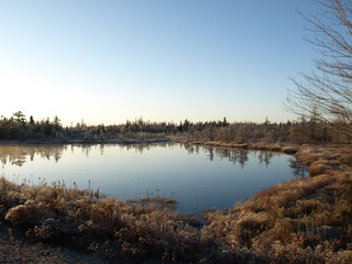 lake in the morning, tranquil, quiet