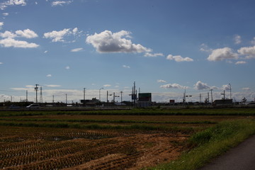 Fototapeta na wymiar 収穫後の麦畑と夏雲