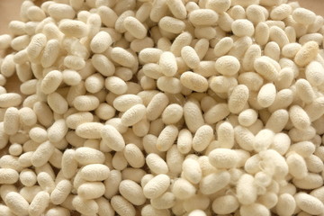 White color of silk worm cocoons
