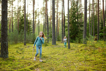 Obraz premium Two cute young sisters having fun during forest hike on beautiful summer day. Active family leisure with kids.