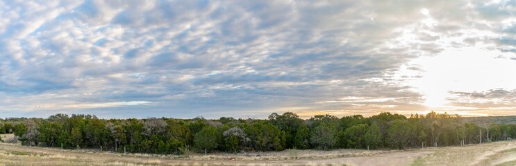 Panoramic View of Large Field of Trees with barbwire Fencing