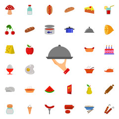 waiter's arm and tray icon. Resturant icons universal set for web and mobile