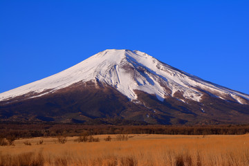Mt.Fuji of blue sky from "Nashigahara" Yamanashi Prefecture Japan 02/03/2019