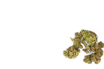 Hanf Cannabis frontal von oben auf weißem Hintergrund mit Freiraum