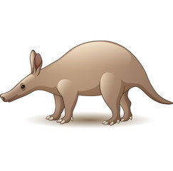 Cartoon Aardvark isolated on white background