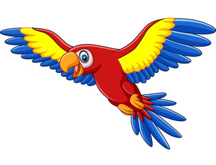 Cartoon funny macaw flying