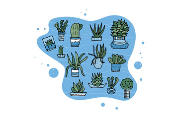 Succulents in doodle style. Vector illustration.