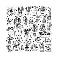 Succulents in doodle style. Vector illustration.