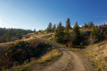 Fototapeta na wymiar Tranquil landscape of a dirt road leading up an evergreen tree covered hillside with blue sky above