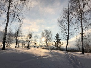 Obraz na płótnie Canvas Russian winter forest