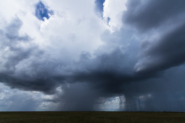 Obraz na płótnie Canvas Summer storms over the Everglades 