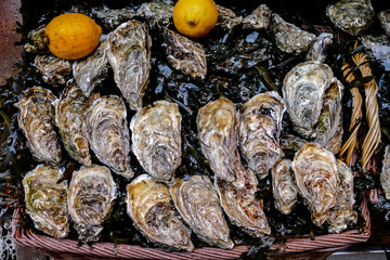 Typical french raw food oyster in Paris Metropolitan City