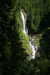 waterfall in forest
