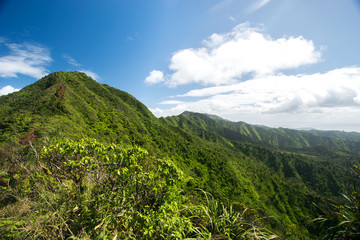 Mountain Ridge in Hawaii
