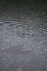 water drops on the surface
