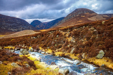 Obrazy  Park Narodowy Cairngorms. Angus, Szkocja, Wielka Brytania.