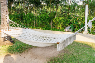 Hammock on the beach in a sunny summer day. Rest in the garden. Empty white hammock between pine trees on tropical beach as a symbol of relaxation