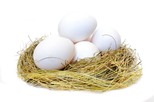 Heap white chicken eggs in a straw nest on white background. Isolated. Side view