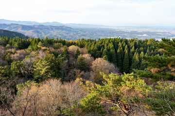 晩秋の森　倉ヶ岳からの眺め