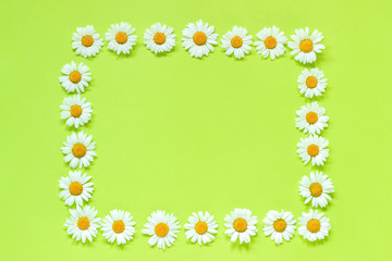 Flower composition. Frame floral rectangle wreath of flowers chamomile. Flat lay Crearive top view. Top-down composition. Copy space Mock up Template for postcard, lettering text or your design